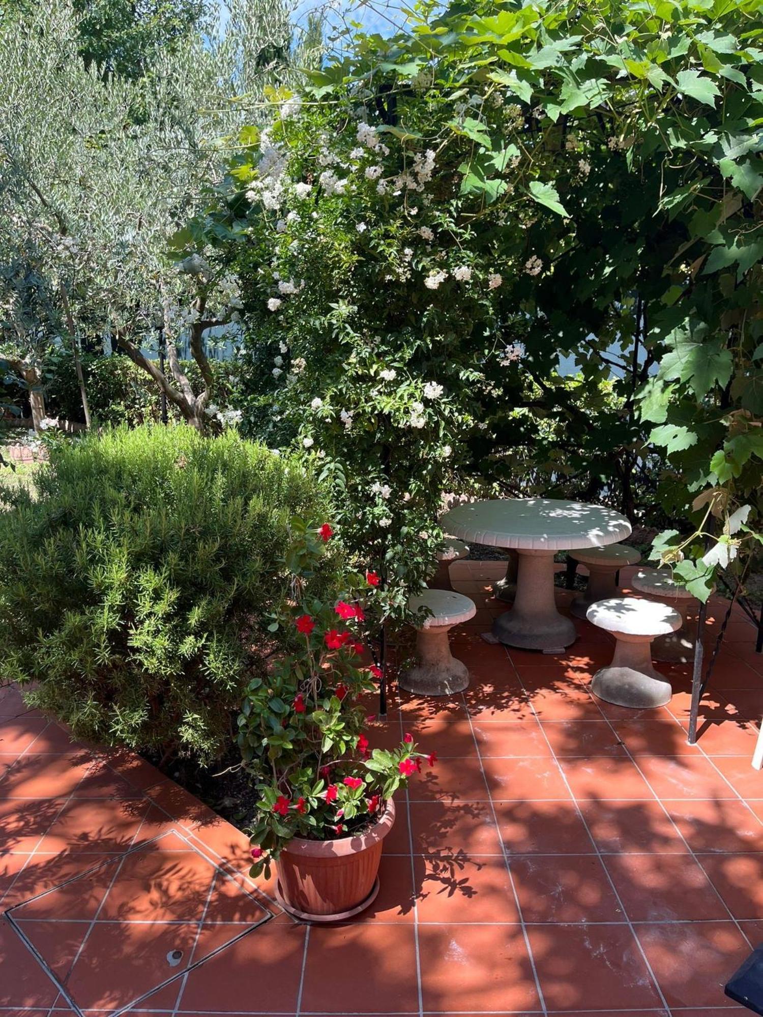 Buonarroti 19 Holiday home *